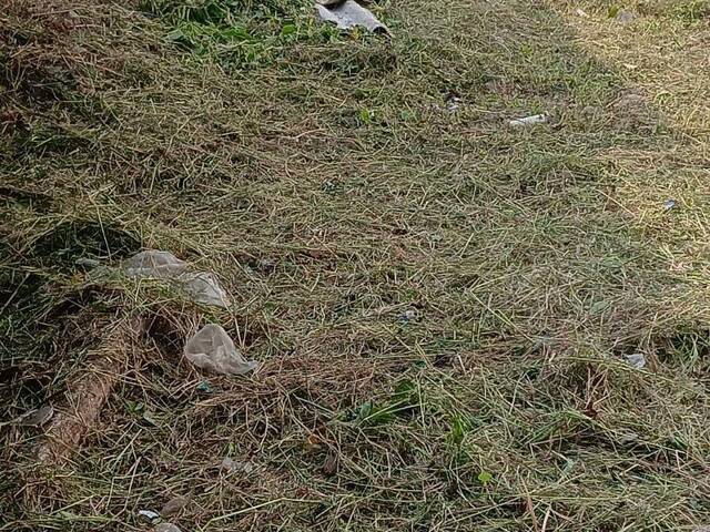 #774 - Área para Venda em Caraguatatuba - SP - 1