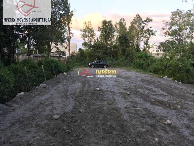 #TE00029 - Terreno para Venda em Caraguatatuba - SP - 1